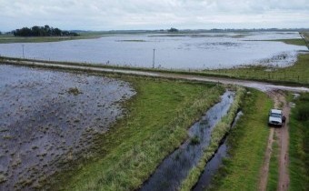 Estiman en 5 millones de hectáreas afectadas por las lluvias en la provincia de Buenos Aires