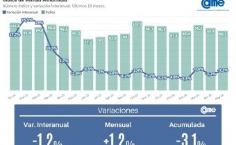 CAME: Las ventas minoristas pyme descendieron 1,2% interanual en mayo